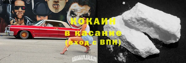 дмт Бородино