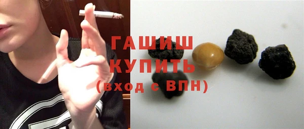 дмт Бородино