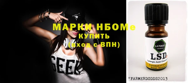 дмт Бородино