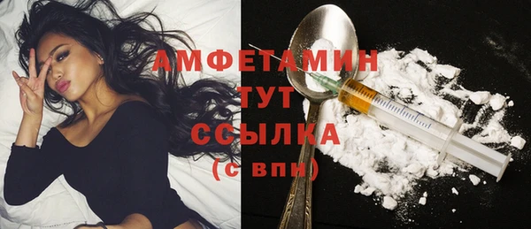 дмт Бородино