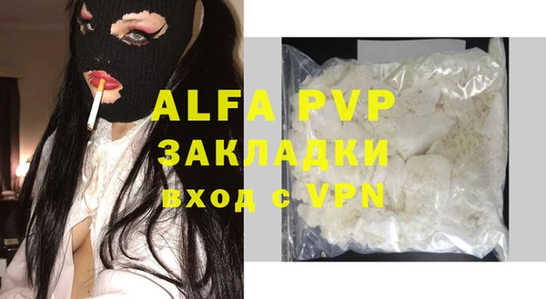 эйфоретик Богданович