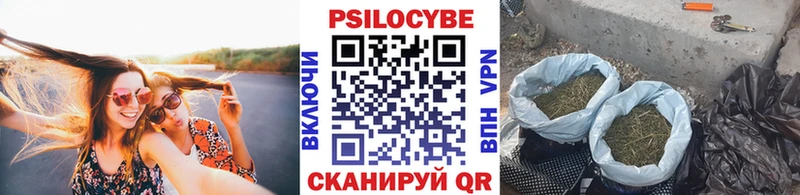MEGA ТОР  Камешково  Галлюциногенные грибы мицелий 